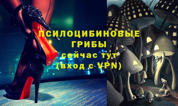 гидропоника Мегион