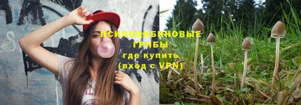 индика Абдулино