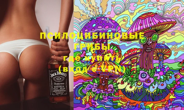 индика Абдулино