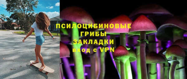 индика Абдулино