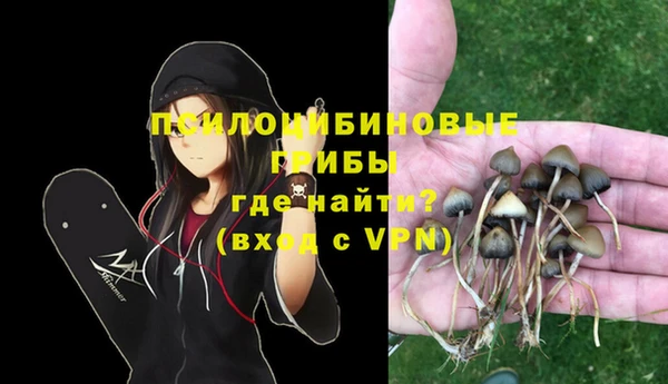гидропоника Мегион