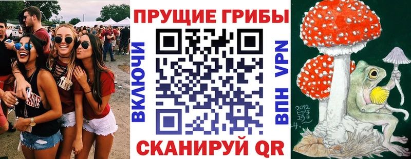 Галлюциногенные грибы Cubensis  Оренбург 