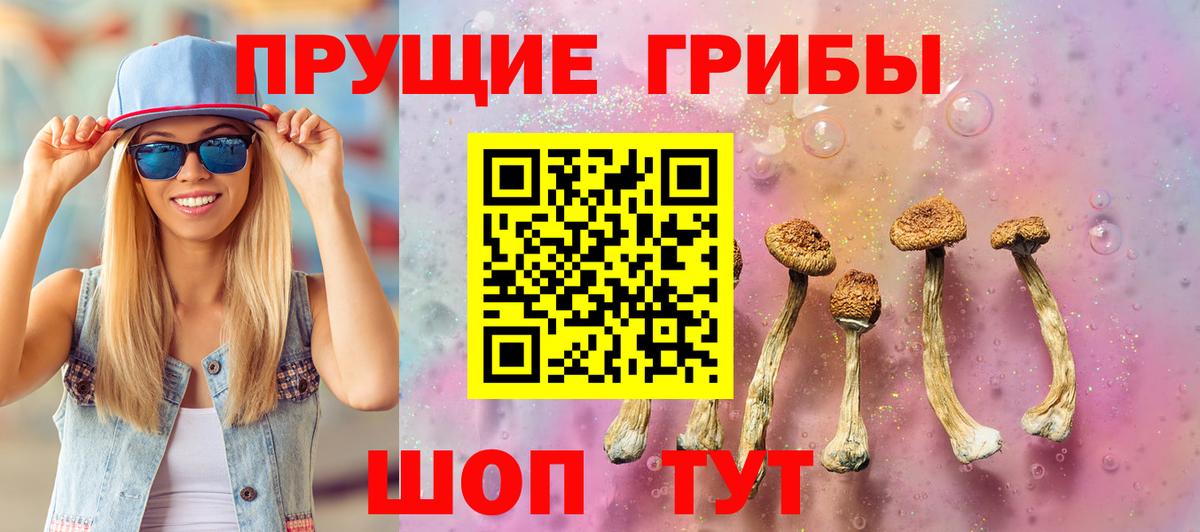 Галлюциногенные грибы прущие грибы Оренбург